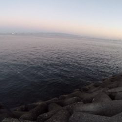 人生最大魚!2024ライトゲーム第34戦