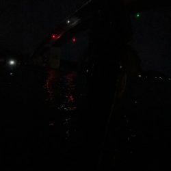 汽水湖の奥でマゴチ!!