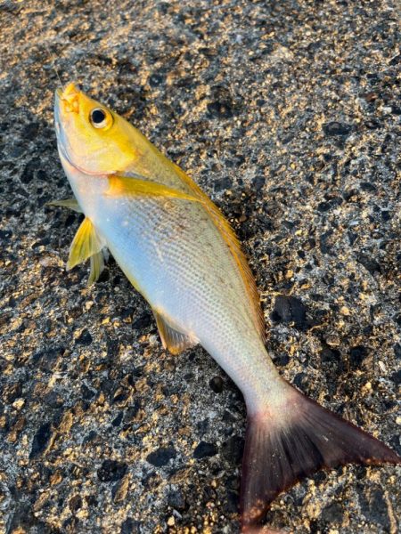 一投目からくるか!