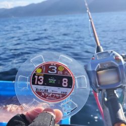 ヒラマサ釣り！