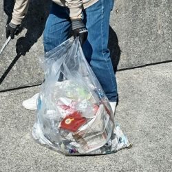 青物【激熱】ゴミは絶対に捨てないで~!