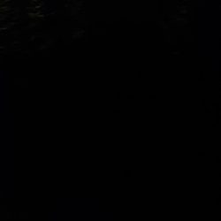 ナイトエギング