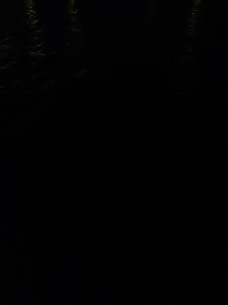 ナイトエギング