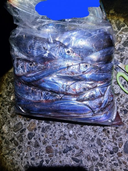 タチウオ狩り 爆釣モード