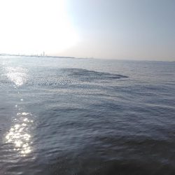 ムコイチ祭り会場は？