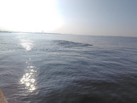 ムコイチ祭り会場は？