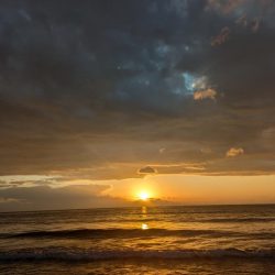 今年初鮭最高です!!😆