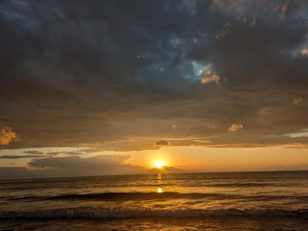 今年初鮭最高です!!😆