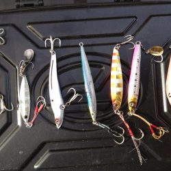 なんとかハマチ1本！