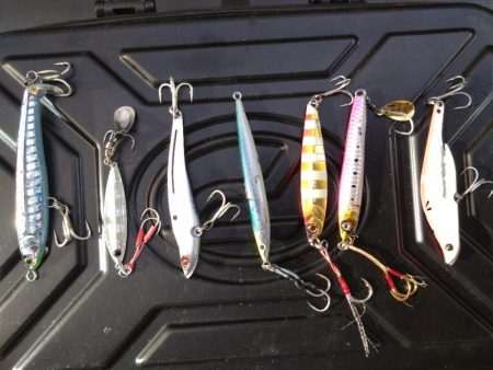 なんとかハマチ1本！