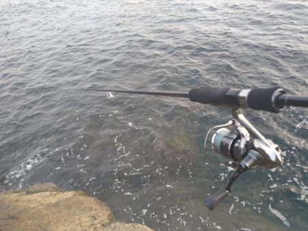 月明かりの無い大潮では