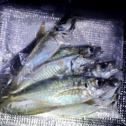 フロートアジング