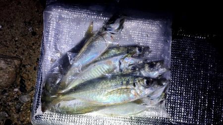 フロートアジング