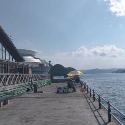 舞鶴親海公園での五目釣り