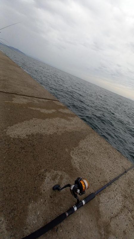 秋の青物シーズン開幕 (その3)