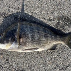 イチノ兄弟、釣果！