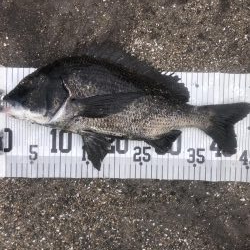 イチノ兄弟、釣果!