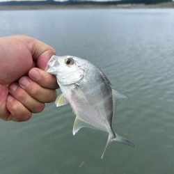 デカメッキと3種コンプ!