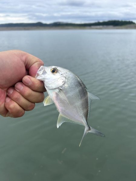 デカメッキと3種コンプ!