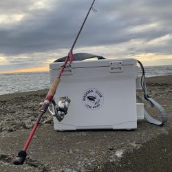 サーフエギング