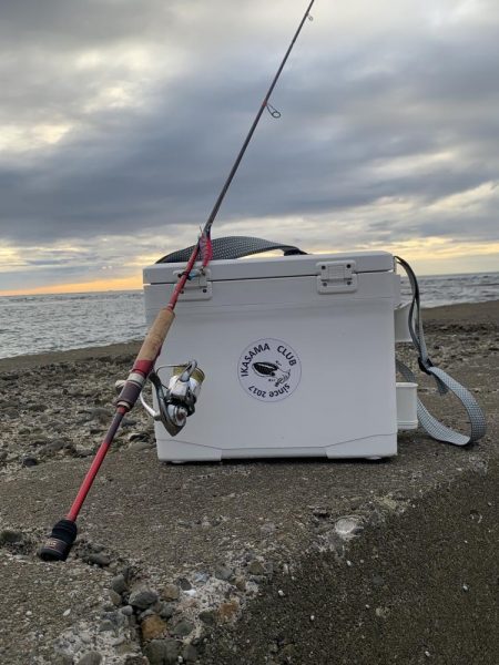 サーフエギング