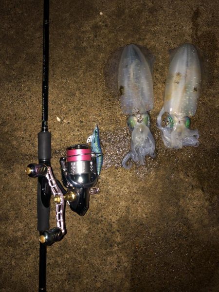 仕事帰りエギング⑤
