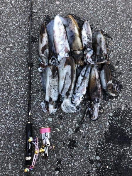 エギング 佐渡遠征⑥