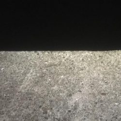 エサ取りに悩まされて