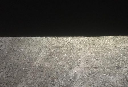 エサ取りに悩まされて