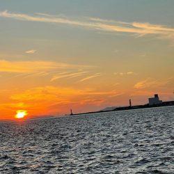 大阪湾奥もようやく青物入ってきました。