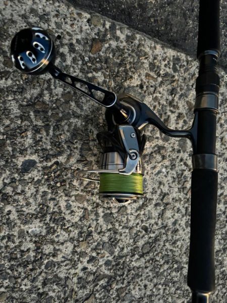 サゴシにハマチ