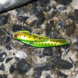 激渋の中粘って釣ったチヌ!