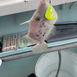 いつも悪天候(苦笑)