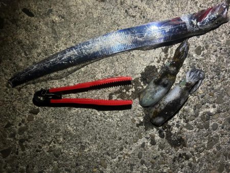 気持ちいい🎣🌪️