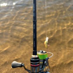 今年最初で最後のハゼクラ!