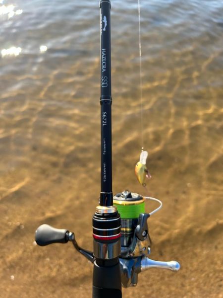 今年最初で最後のハゼクラ!