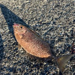 一投目からくるか!