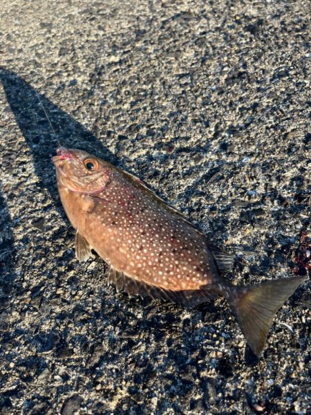 一投目からくるか!