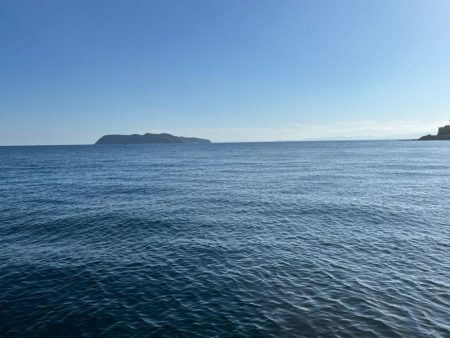 謎のパラダイス