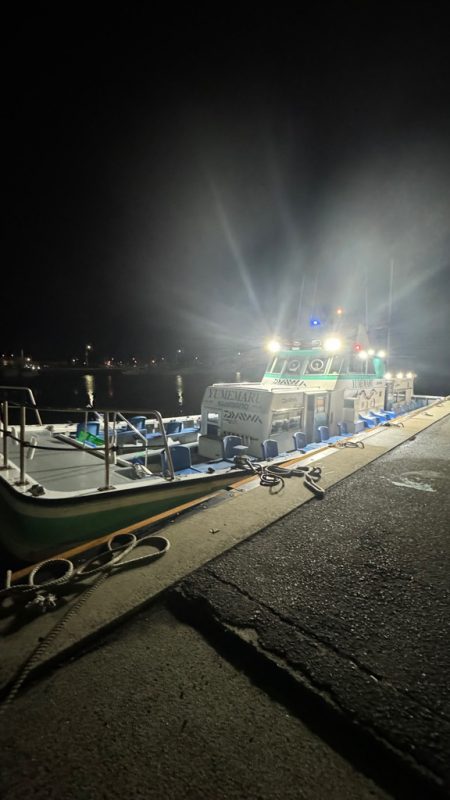 紀淡海峡 タチウオジギング