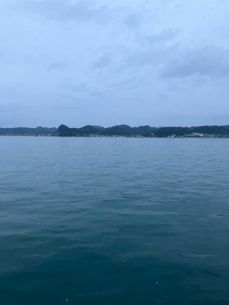 丸々太ったオーバーサイズカマス!