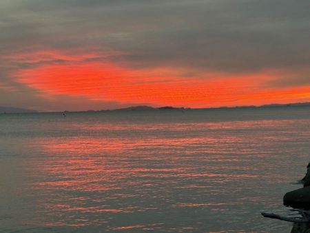 激流にエギを流してただ巻きでアオリイカゲット!