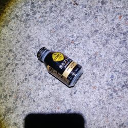 清掃活動：エギング