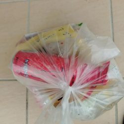 清掃活動：ティップランとライトジギング！