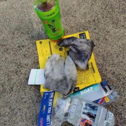 清掃活動：真夜中のティップラン