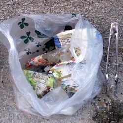 清掃活動：活性高く、楽しい小物釣り