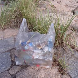 清掃活動：3年ぶりにサヨリ釣り