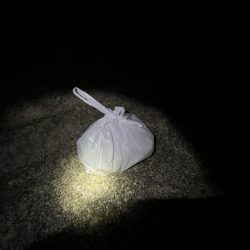 清掃活動：安定のアジ