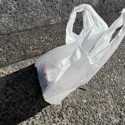 清掃活動：冬の気配