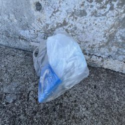 清掃活動：サビキの冬到来